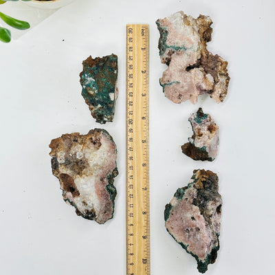 pink amethyst clusters next to a ruler for size reference