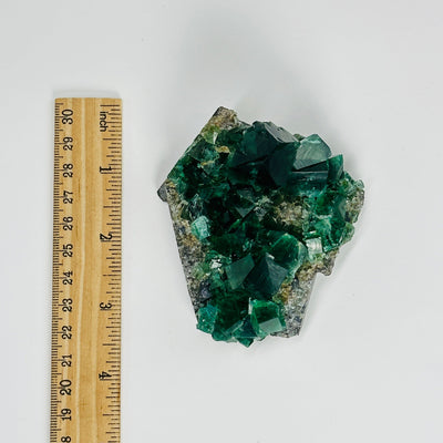 diana maria fluorite next to a ruler for size reference