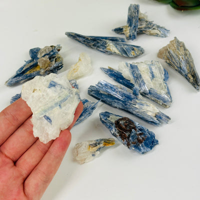 hand holding up kyanite pieces with decorations in the background