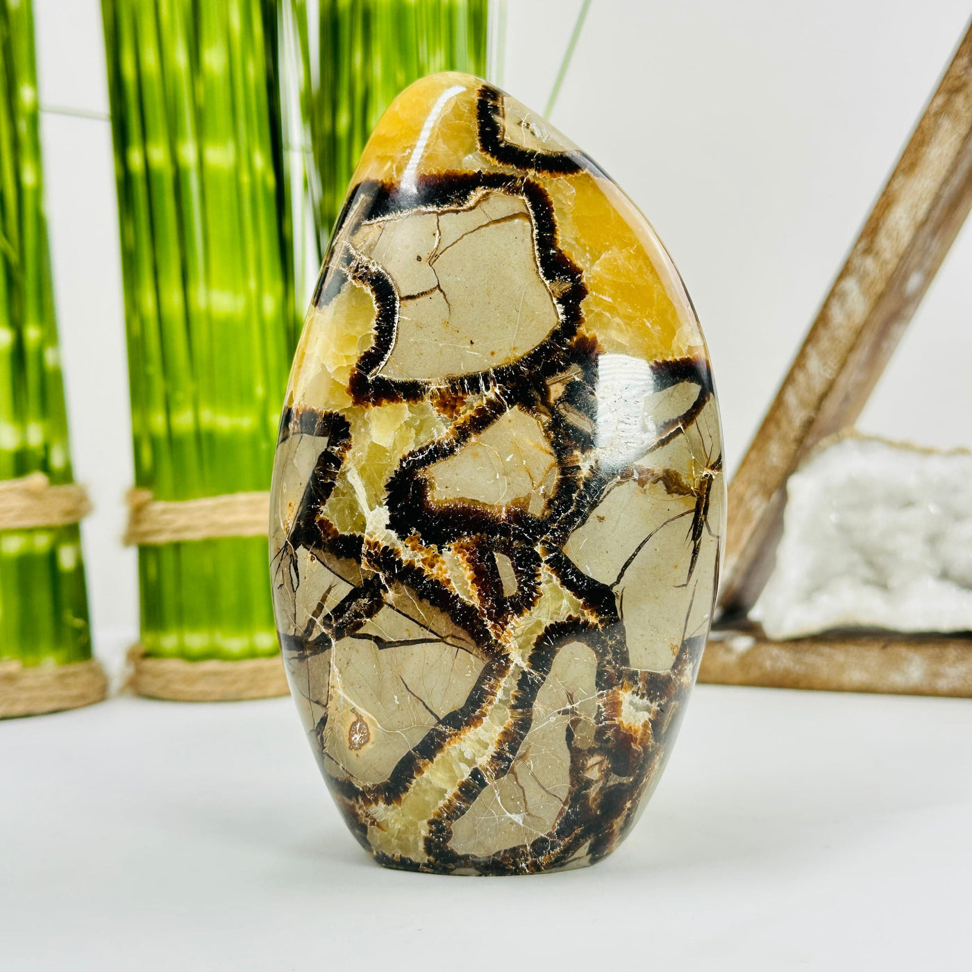septarian polished decoration with decor in the background