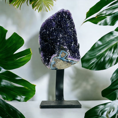 amethyst on stand with plants in the background
