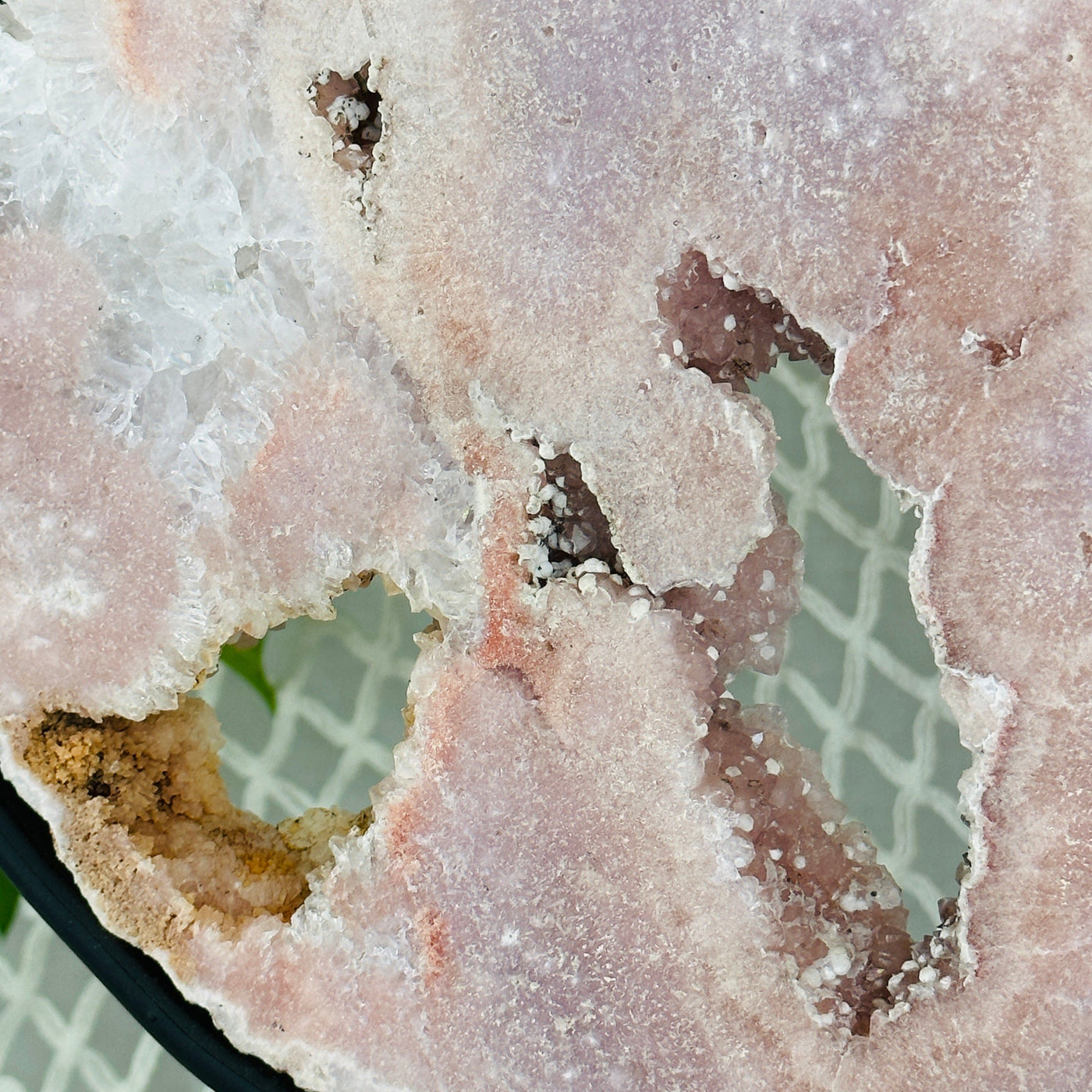 up close shot of druzy on pink amethyst wing