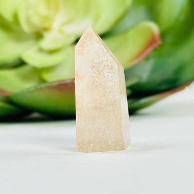 rutilated quartz point with decorations in the background