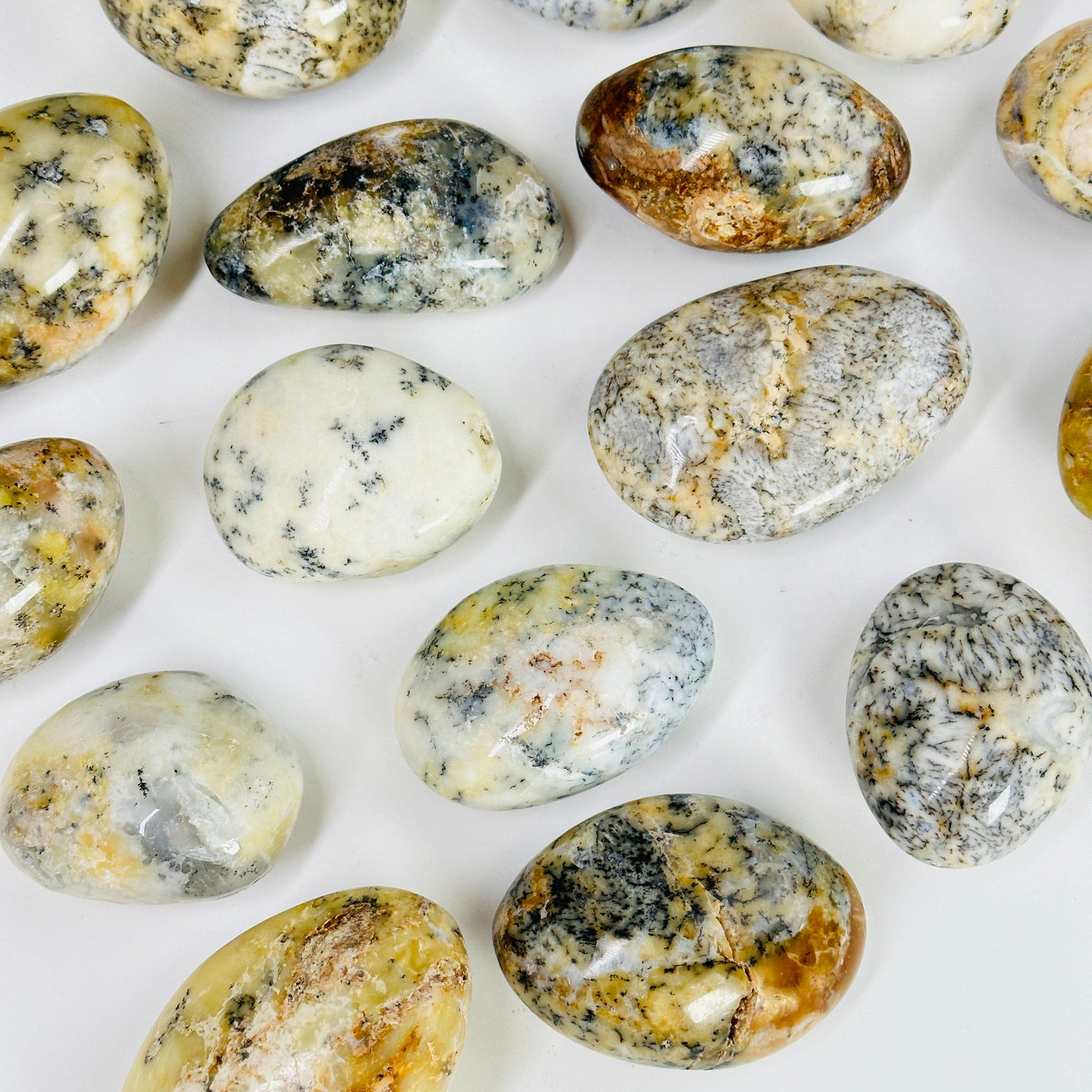 dendrite opal tumbled stones on white background