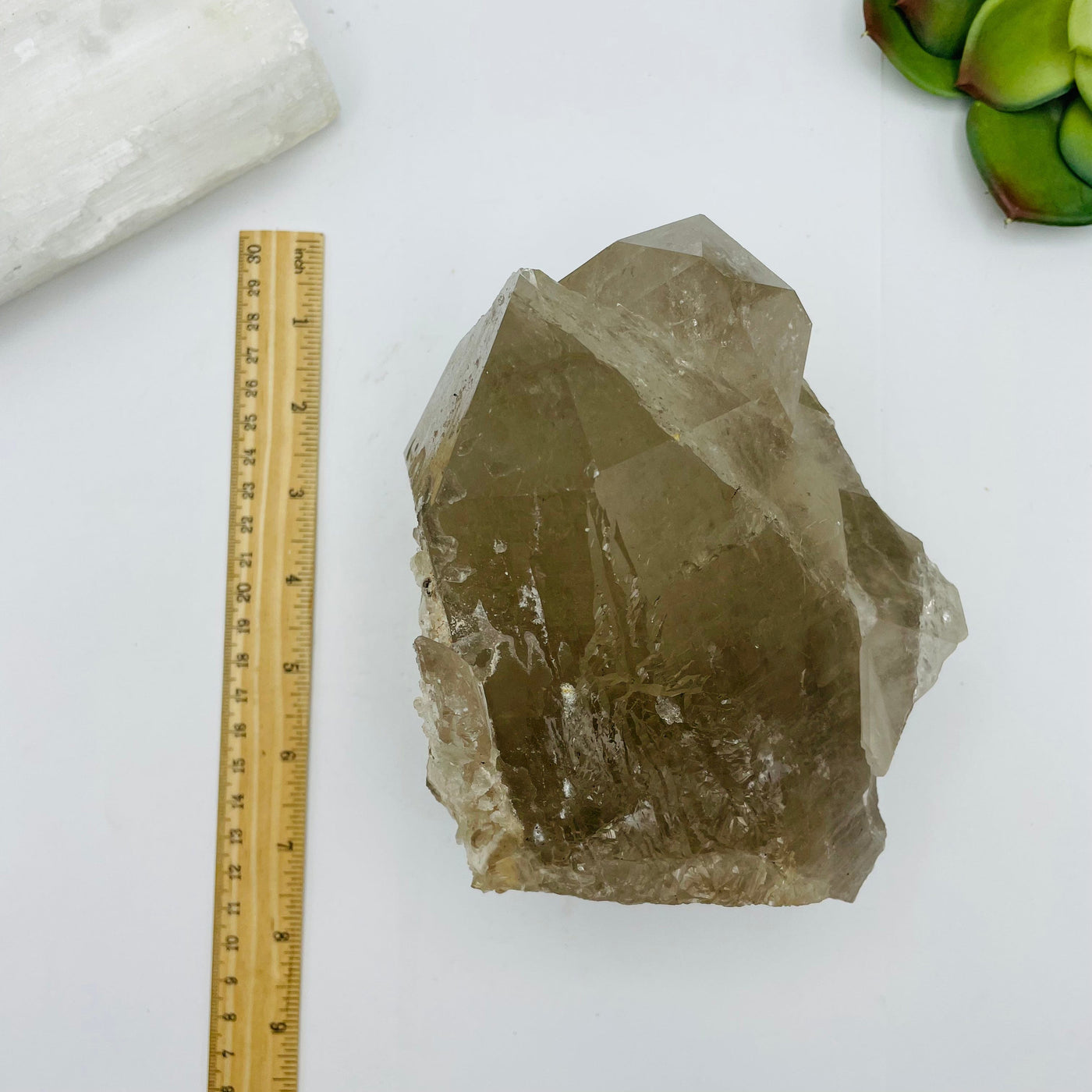 Rutilated quartz cluster next to a ruler for size reference