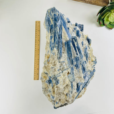 massive kyanite cluster next to a ruler for size reference
