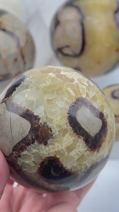 Septarian Polished Crystal Spheres - By Weight