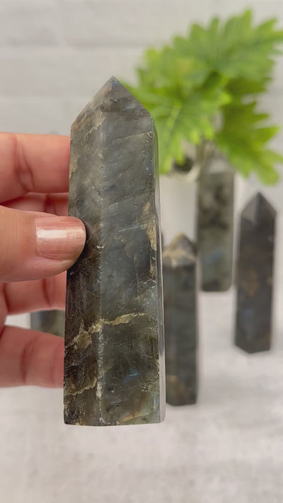 Labradorite Polished Points - By Weight -