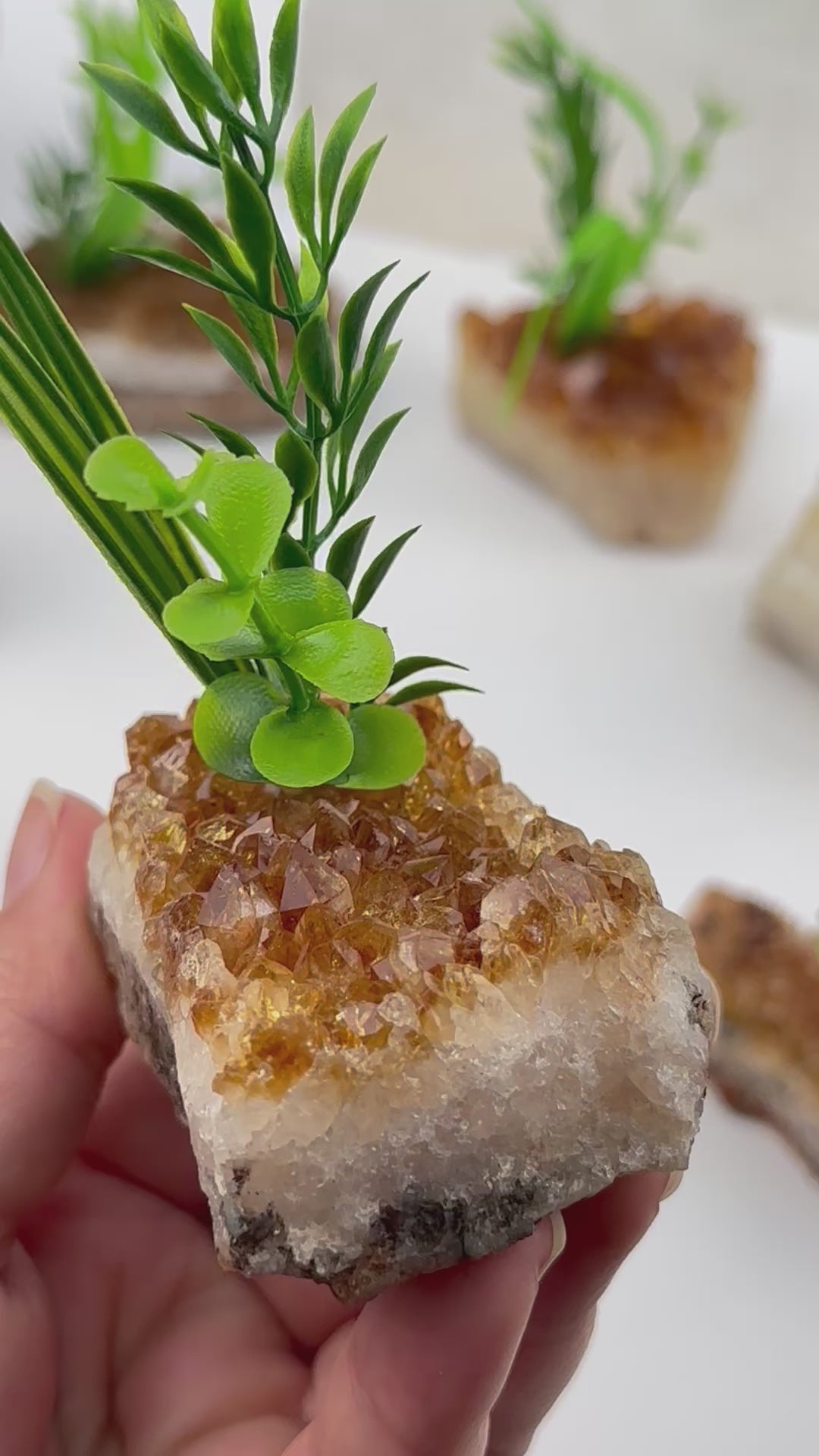 Citrine Crystal Cluster with Plant