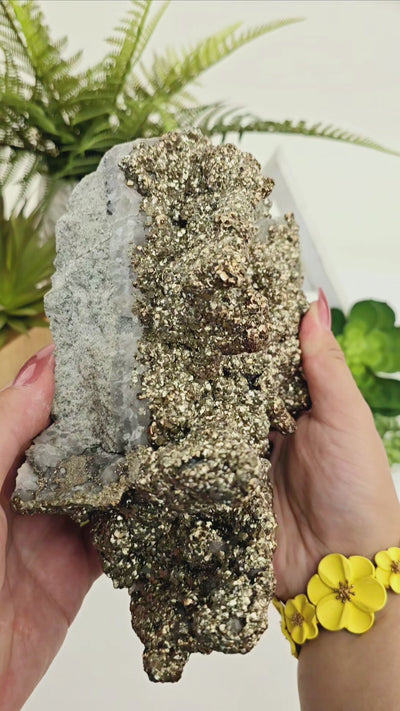 Pyrite on Quartz Crystal Specimen video with hands for size reference showing luster of pyrite