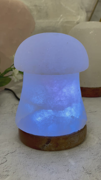 Himalayan Salt White Mushroom Lamp - Color Changing -