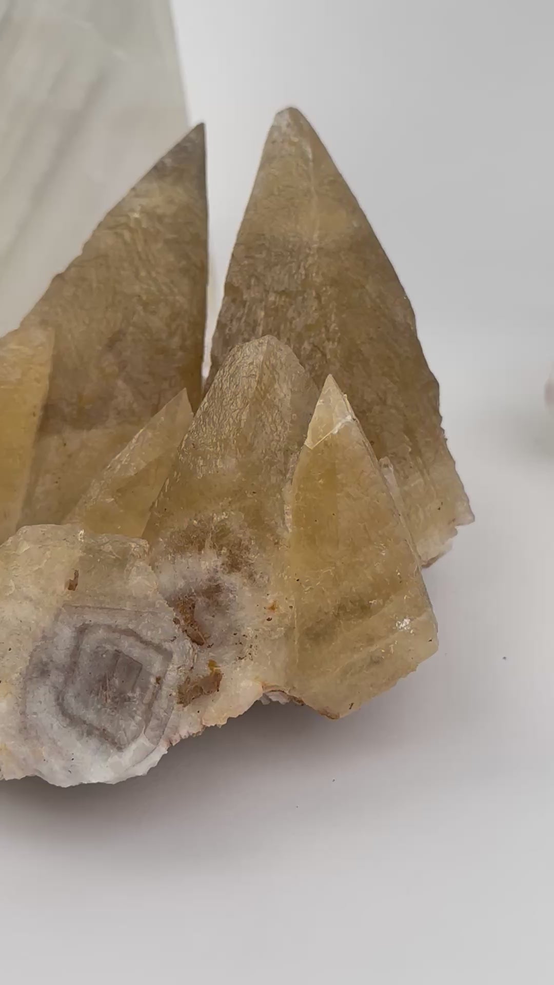 Dogtooth Calcite Crystal Cluster