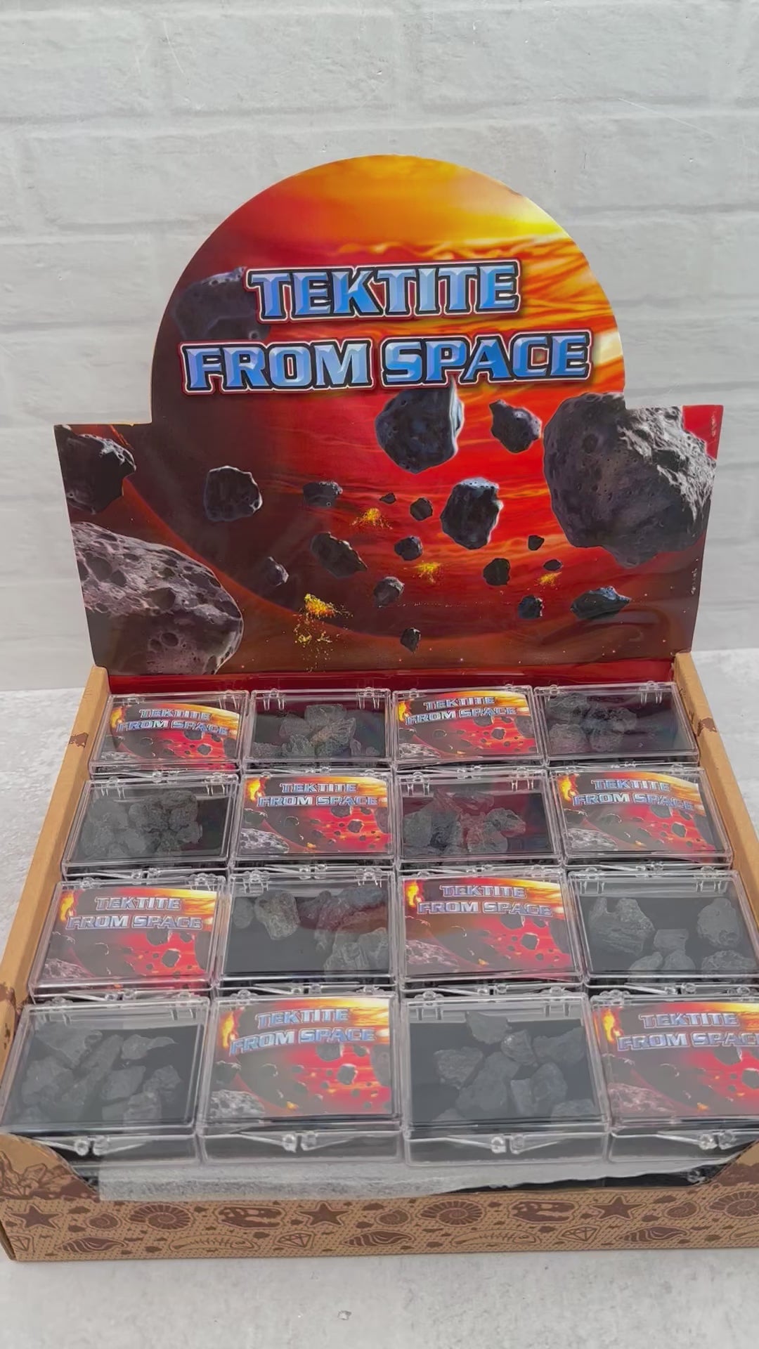 Tektite Collection in Specimen Box - from Outer Space! - Point of Purchase Display