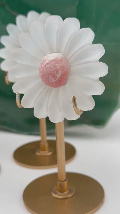 Selenite Crystal Daisy Flowers on Stand