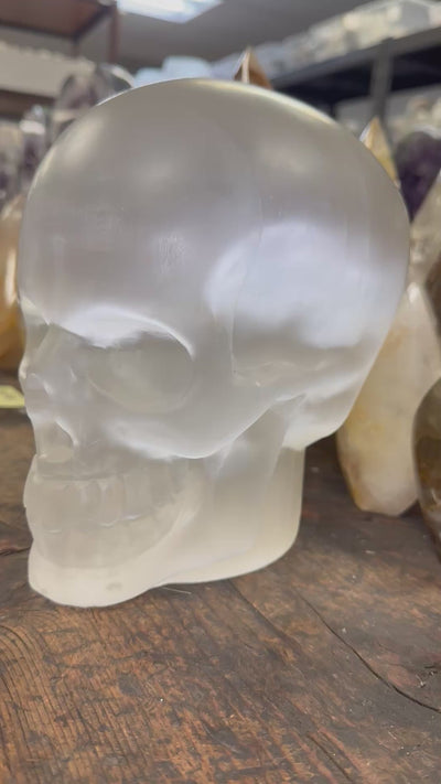 Selenite Crystal Skull - Extra Large -