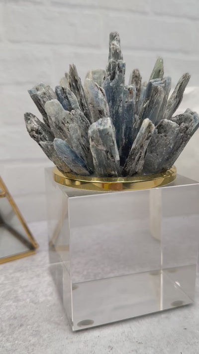 Blue Kyanite Pinecone on Glass Base