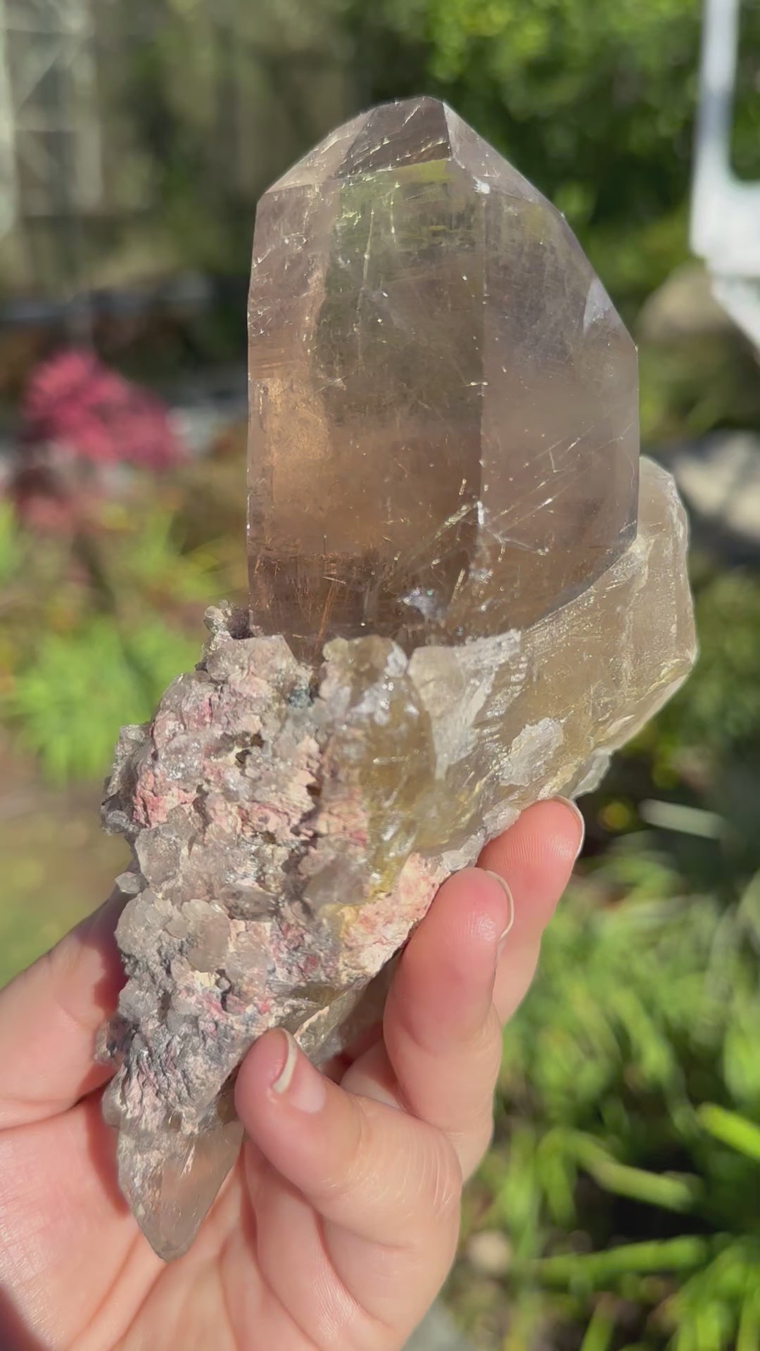 Natural Smoky Quartz Cluster with Rutilated inclusions - High Quality - You Choose -