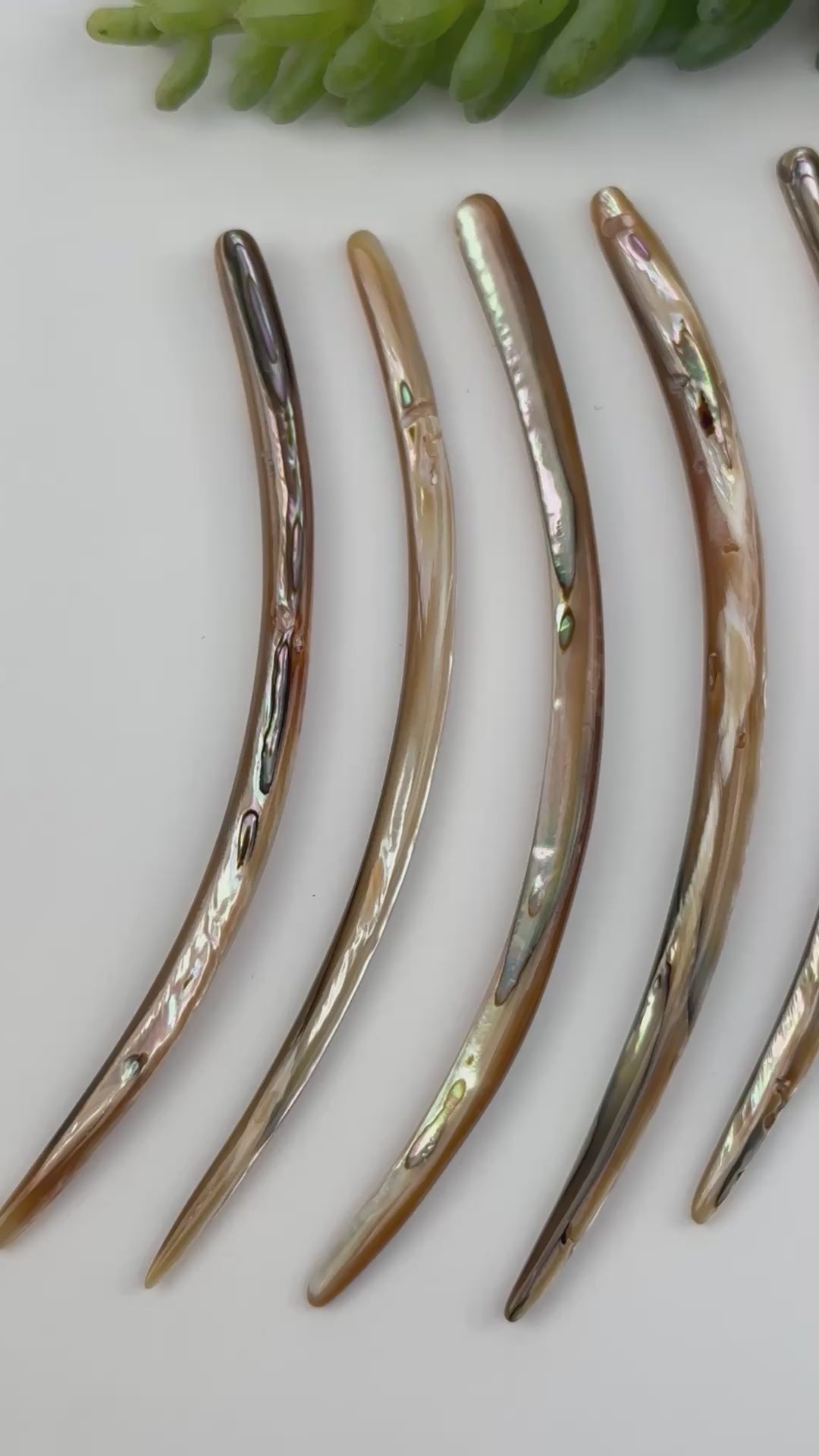 Abalone Horn Bead - Top Side Drilled Bead -