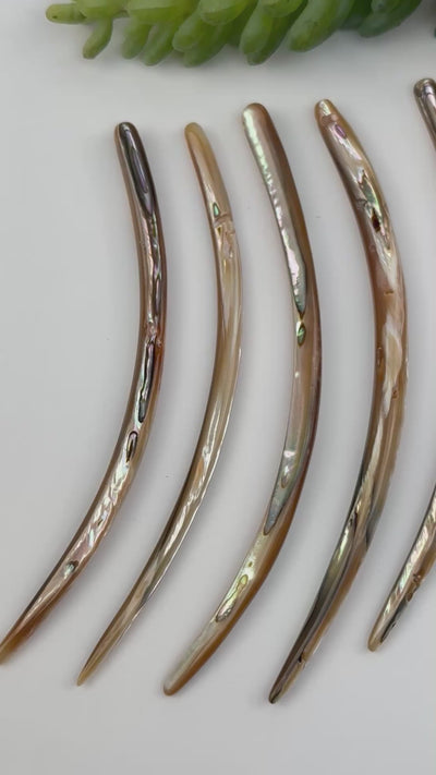 Abalone Horn Bead - Top Side Drilled Bead -