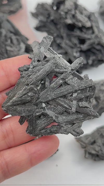 Black Kyanite Crystal Cluster