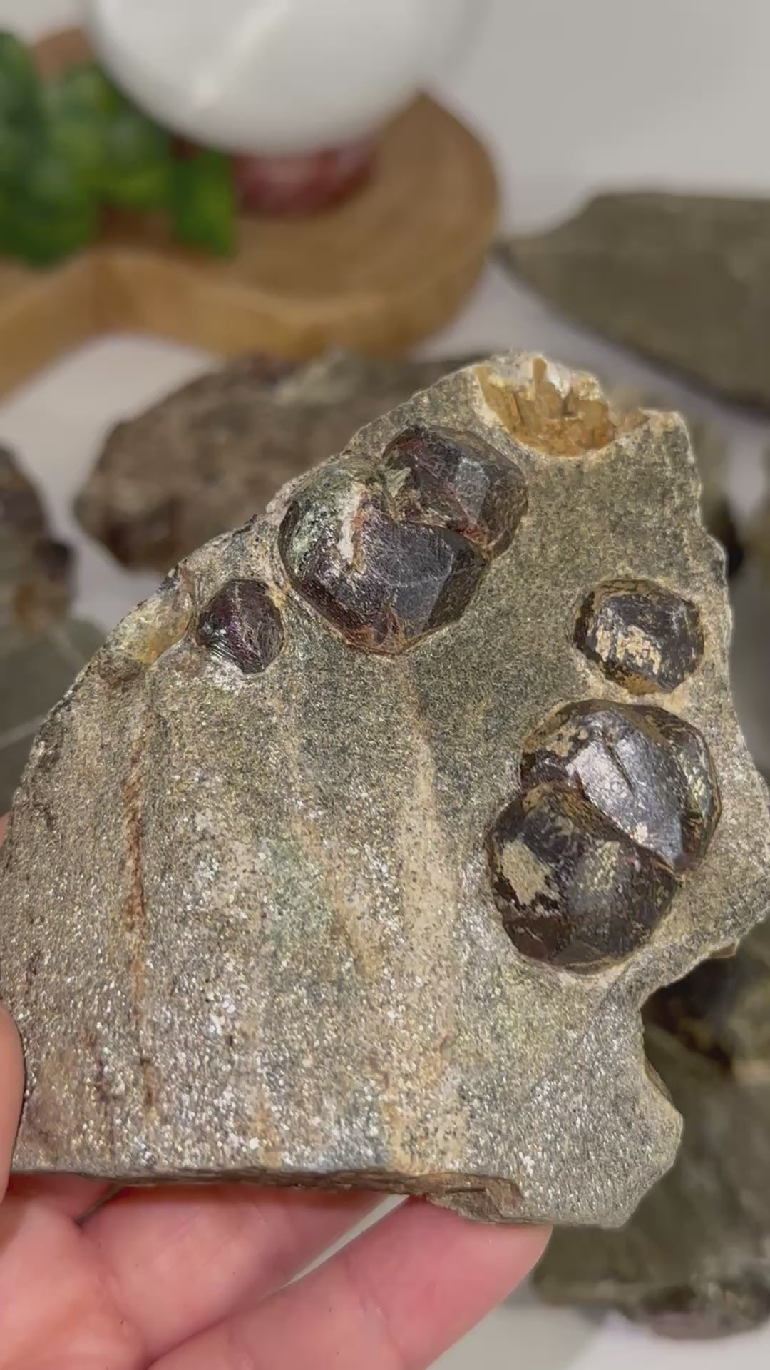 Garnet Crystals in Mica Schist