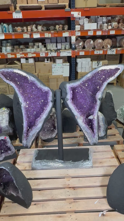 Amethyst Wings with Dogtooth Calcite formation on Black Metal Stand - Crystal Decor -