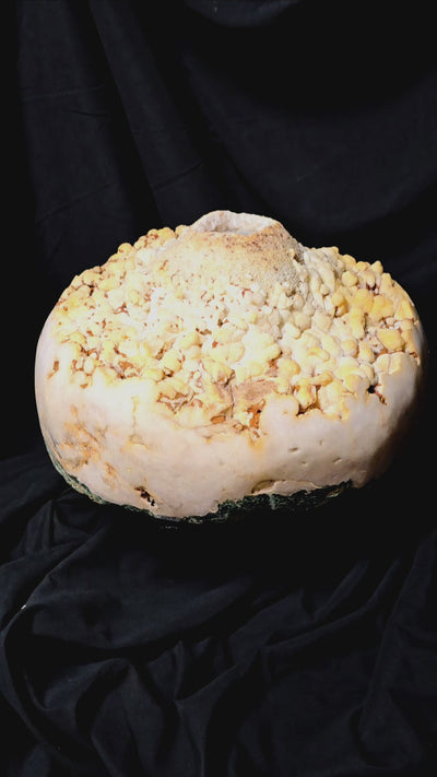 High-Grade Pink Amethyst Crystal Geode on Rotating Stand video showing rock spinning on stand and hand for size reference