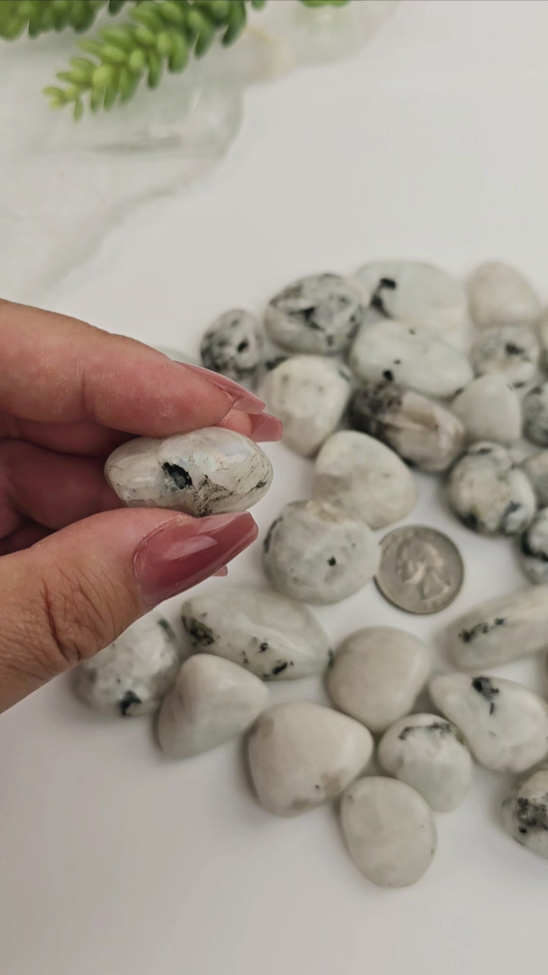 White Moonstone Tumbled Stones - Medium Size - 1/2 lb or 1 lb video showing flash of one tumbled stone