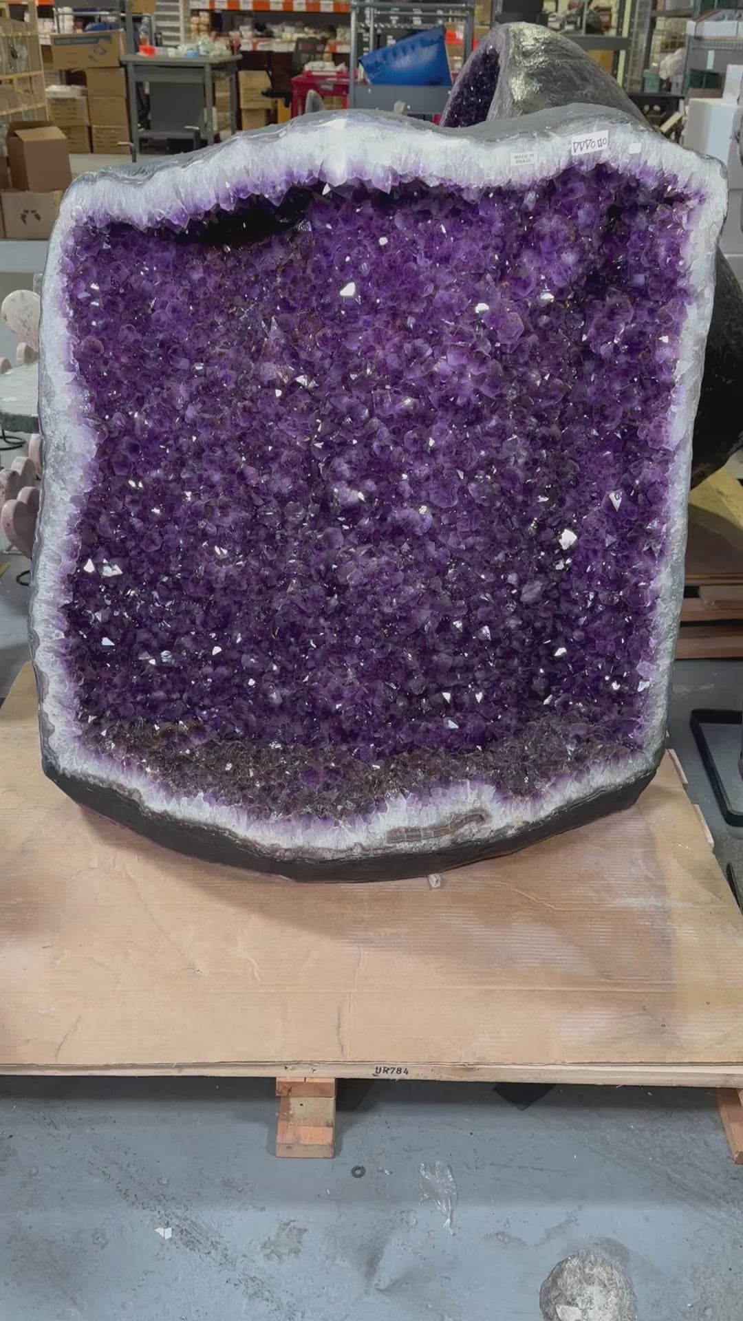 Amethyst Freeform from Brazil - Extra Large - 3ft Tall - Extra Quality
