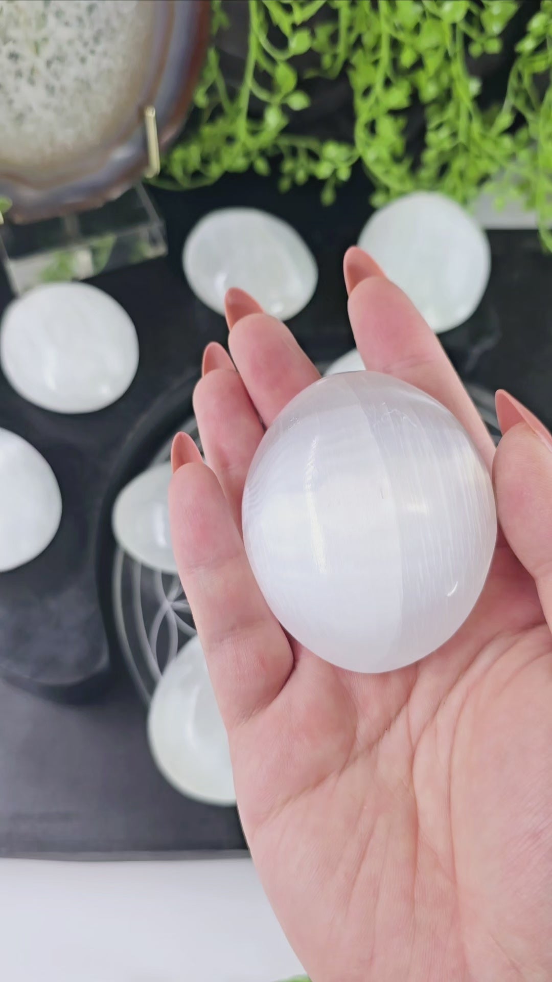 Selenite Crystal Palm Stones video showing light refraction of selenite palm stone in hand with other palm stones in background with props and plants