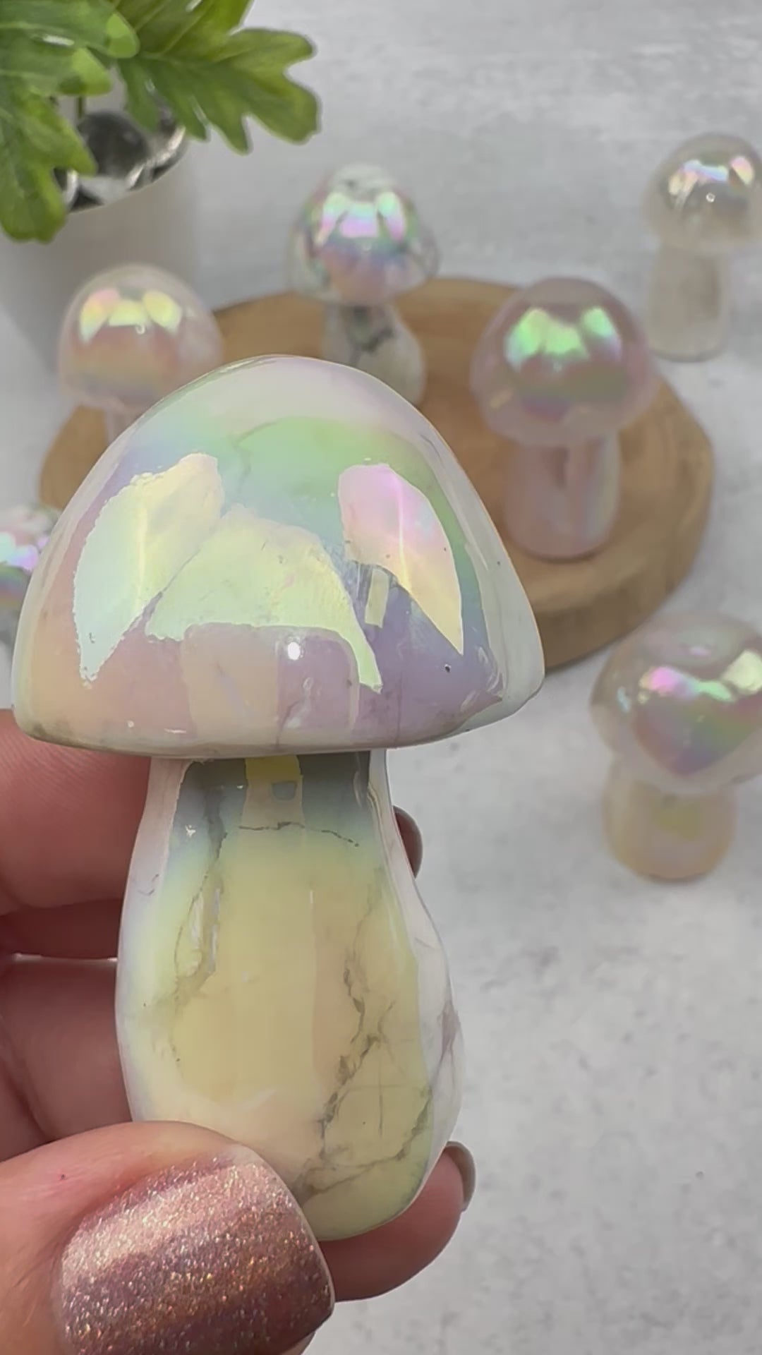 Gemstone Angel Aura Mushrooms - You Choose Stone