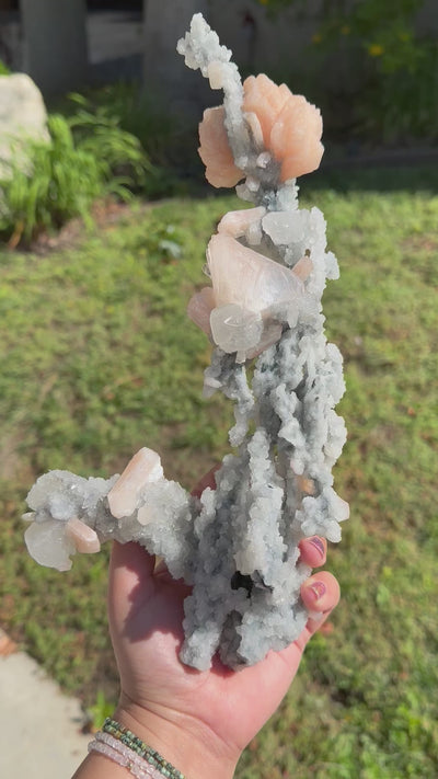 Peach Apophyllite with Zeolite on Chalcedony Stalagmite - Museum Quality Crystal Formation -