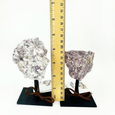 Lepidolite on Metal Stand next to a ruler for size reference