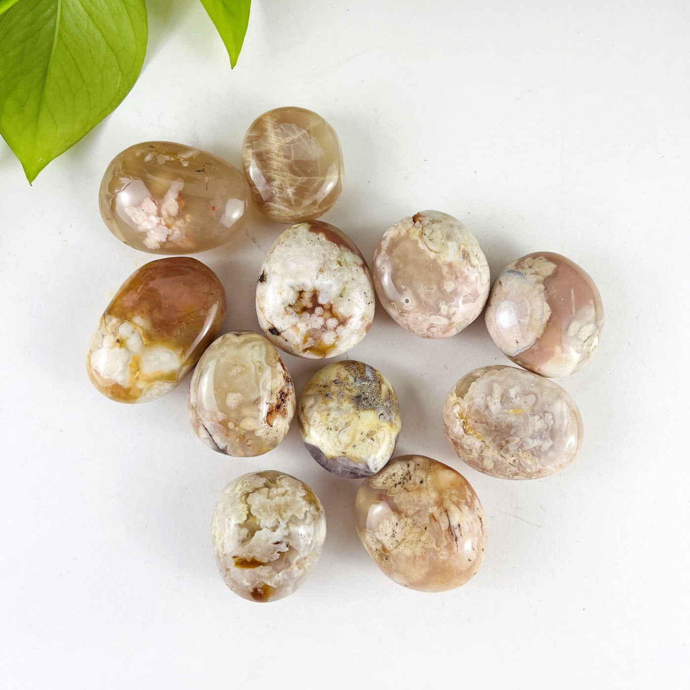 11 Flower Agate Polished Palm Stones