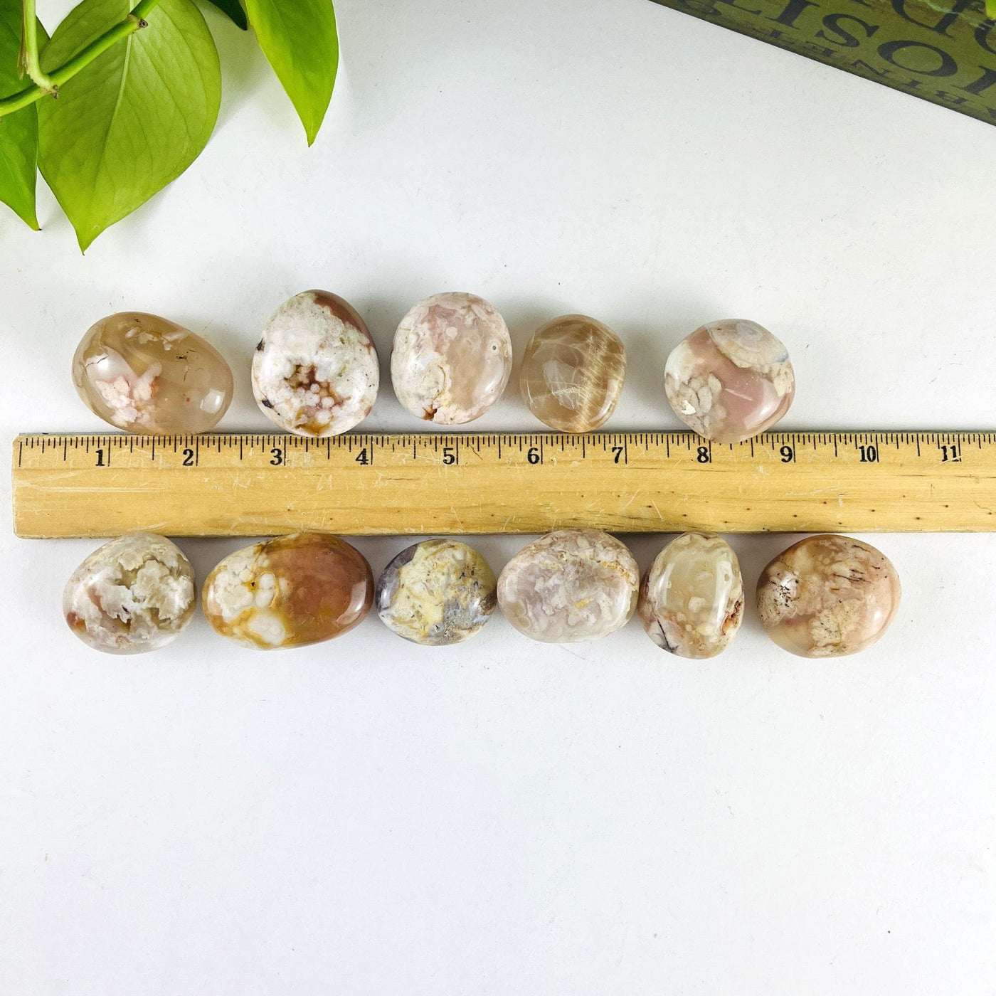 Flower Agate Polished Palm Stones with a ruler for size reference