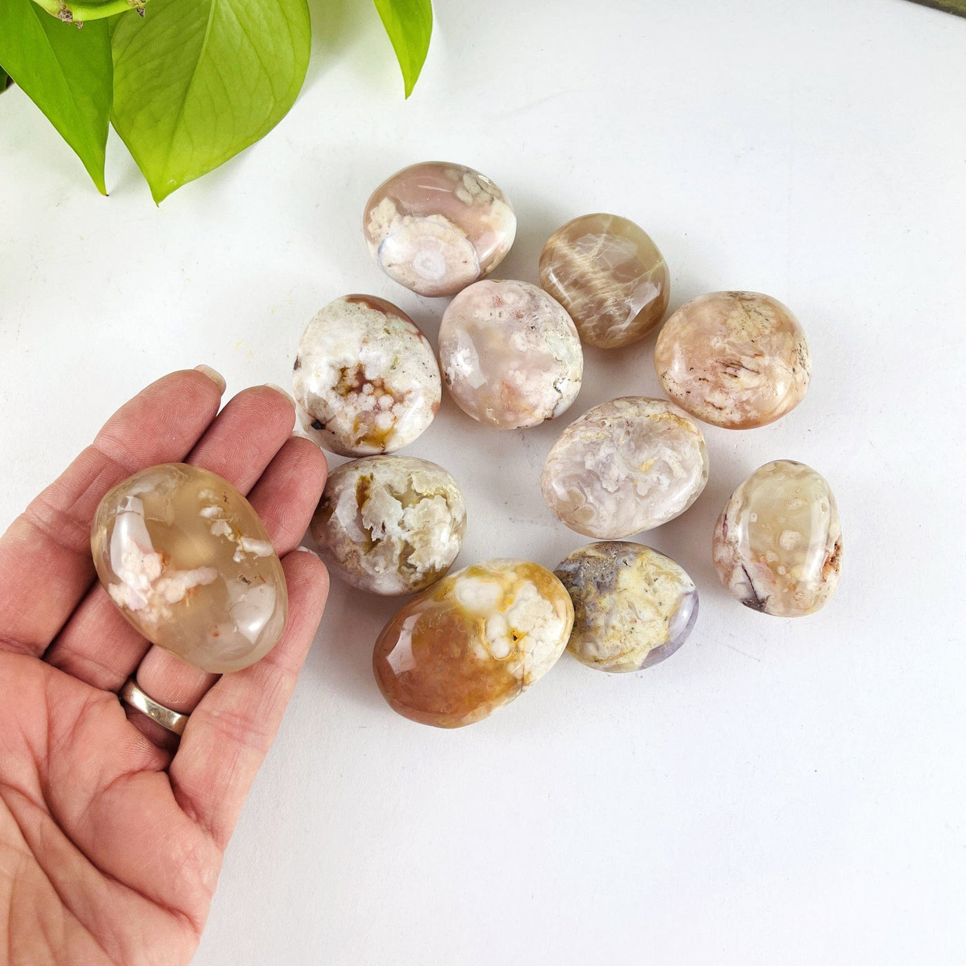 11 Flower Agate Polished Palm Stones with 1 in a hand for size reference