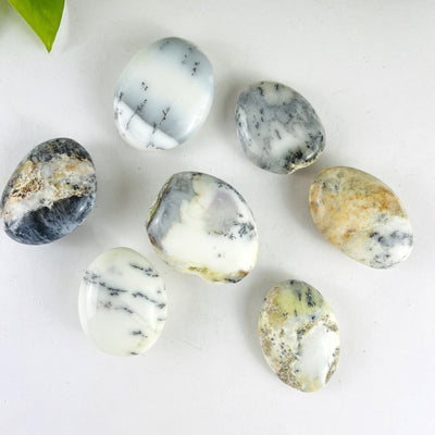 7 Dendritic Opal Crystal Polished Palm Stones with other side facing up