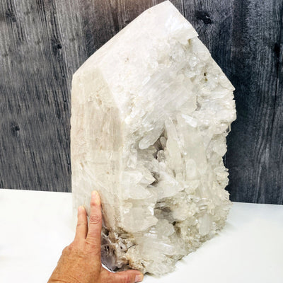 Large Crystal Quartz Point with Druzy Formations with a hand for size reference
