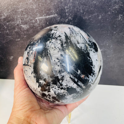 Black Tourmaline Quartz Gigantic Sphere in a hand for size