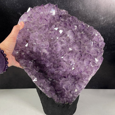 Amethyst Crystal Cluster  - Large Cut Base with a hand for size reference