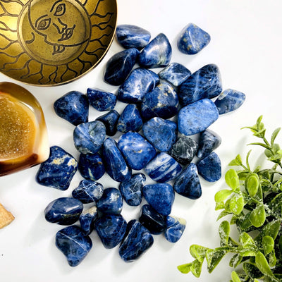 Blue Sodalite Tumbled Gemstones on a white background