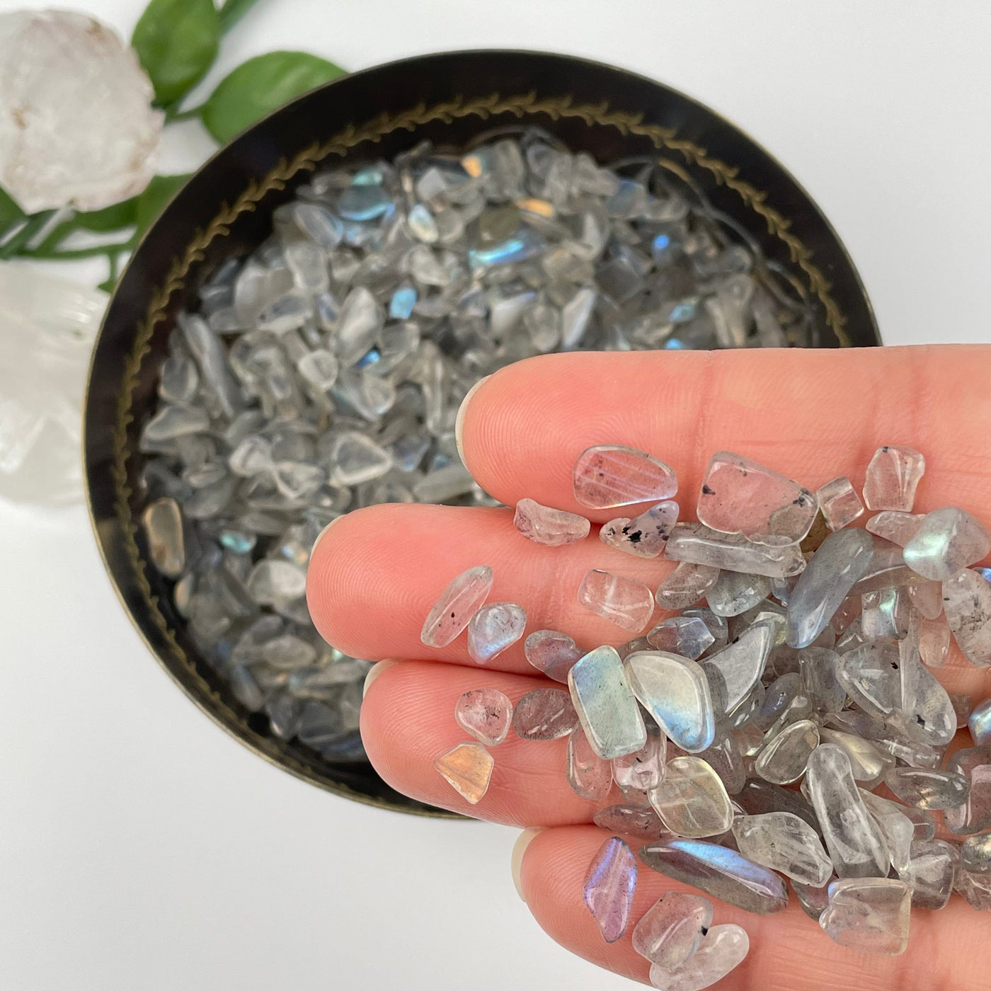 lepidolite tumbled chips in hand for size reference 