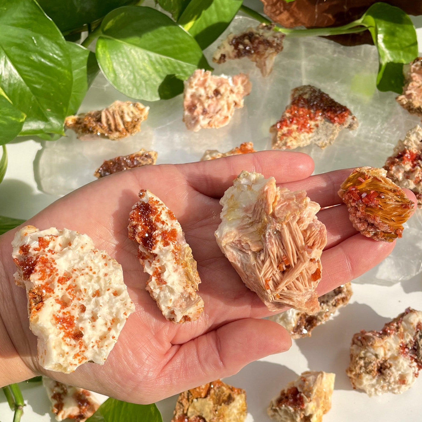 Natural Vanadinite - 4 pieces in a hand