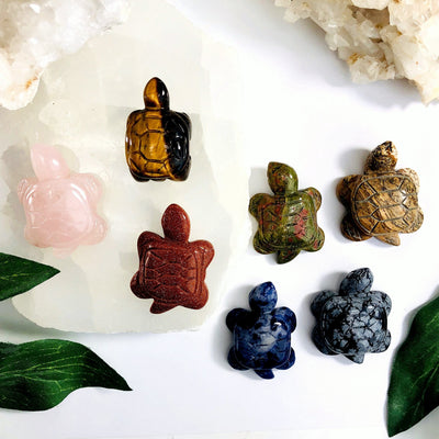 Turtle Gemstone Cabochons on a table