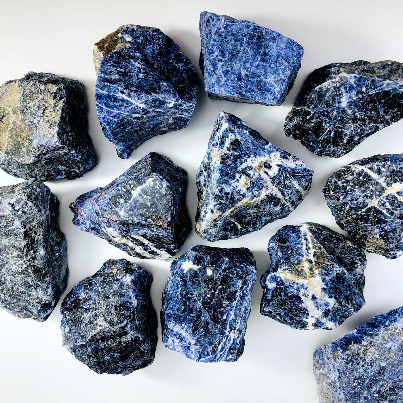 overhead view of many sodalite rough stone pieces on white background for possible variations