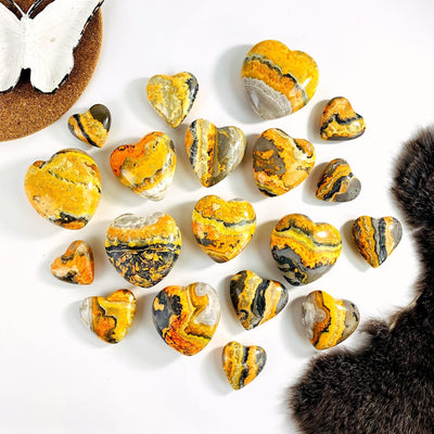 bumblebee jasper hearts scattered on white background with decorations
