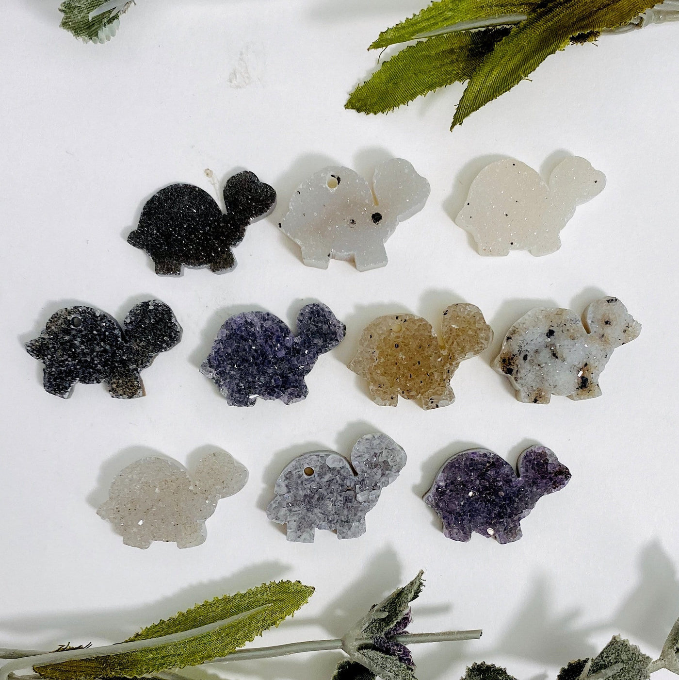 druzy turtle cabochons on white background