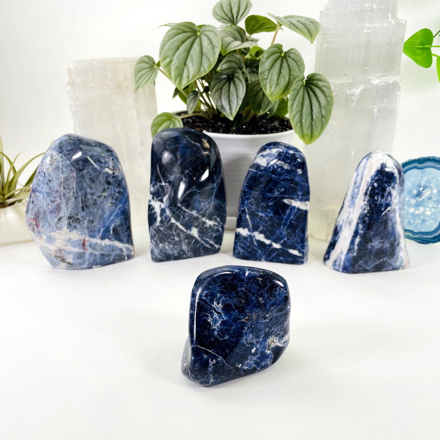 one sodalite polished cut base in front with four others in a row behind