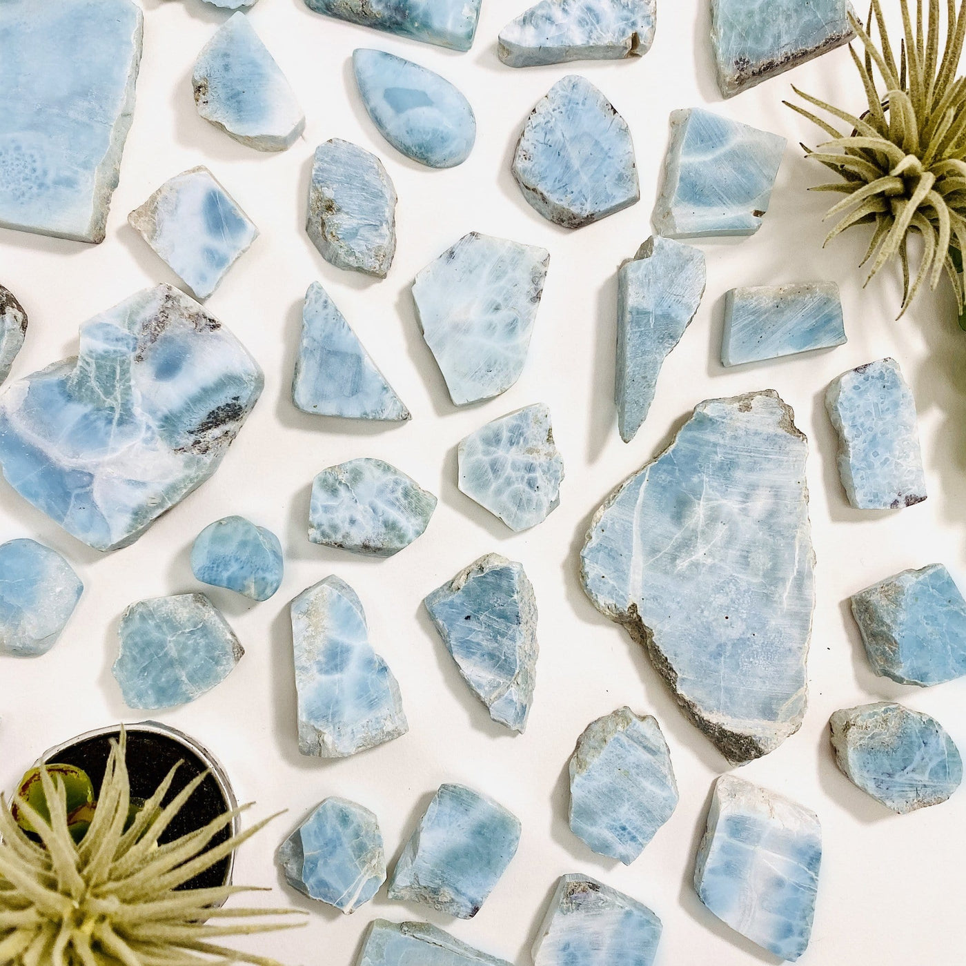 multiple larimar freeform cabochons displayed to shot the differences in color shades and sizes 