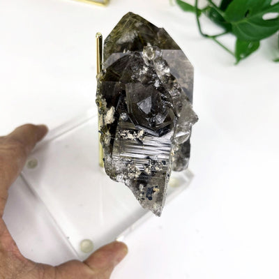 Rutilated Smokey Quartz Crystal